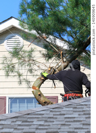 an up in the tree cutting it down with a chainsaw an up in the tree cutting it down with a chainsaw 140909645