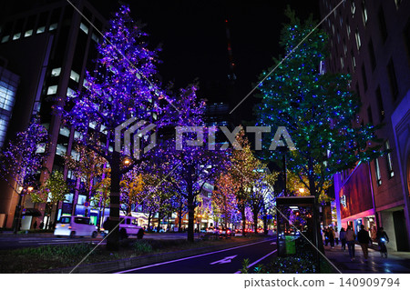 The illuminations on Osaka's Midosuji Avenue at the end of the year, and the night view of a winter tourist spot. The illuminations on Osaka's Midosuji Avenue at the end of the year, and the night view of a winter tourist spot. 140909794