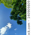 Looking up the blue sky 140909809