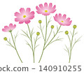 Simple cosmos vector illustration (plant, flower) 140910255