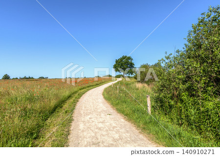 Sunlit country path winding through wildflower meadow beneath clear blue sky Sunlit country path winding through wildflower meadow beneath clear blue sky 140910271