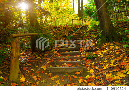 Golden sunbeams pierce the canopy of a forest in October, casting light on a stone staircase blanketed with vibrant fallen leaves 140910824