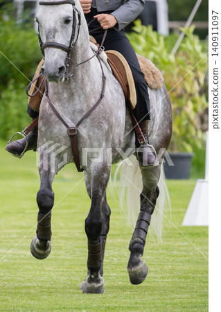 Horse and rider participate in equestrian event at a green field during bright daylight 140911097