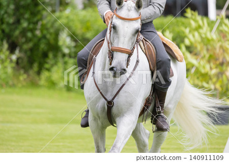 Rider on white horse moving through green field during daytime near trees and plants Rider on white horse moving through green field during daytime near trees and plants 140911109