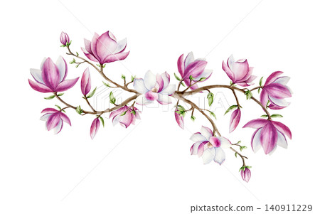 Magnolia branch with pink flowers arrangement. Watercolor hand drawn spring lush blossom logo with green buds on a tree illustration isolated on background, transparent png. Botanical and wedding clip Magnolia branch with pink flowers arrangement. Watercolor hand drawn spring lush blossom logo with green buds on a tree illustration isolated on background, transparent png. Botanical and wedding clip 140911229
