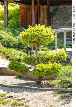 Small tree stands in a garden with rocks, grass, and pathways in a sunny location Small tree stands in a garden with rocks, grass, and pathways in a sunny location 140911273
