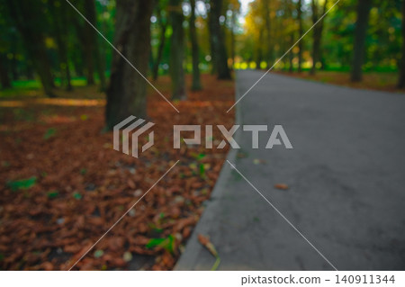 Blurred autumn park pathway with fallen leaves and warm sunlight filtering through trees Blurred autumn park pathway with fallen leaves and warm sunlight filtering through trees 140911344