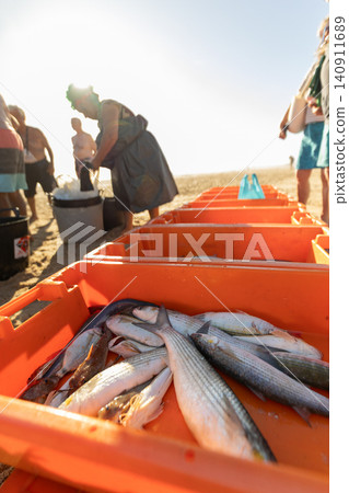 Fish are collected and sorted by people on a beach during the afternoon sun in a coastal area Fish are collected and sorted by people on a beach during the afternoon sun in a coastal area 140911689