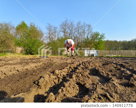 Man bending to plant seedlings in freshly tilled garden furrows under a clear blue sky, preparing soil and seeding rows for spring growth and future harvest. Man bending to plant seedlings in freshly tilled garden furrows under a clear blue sky, preparing soil and seeding rows for spring growth and future harvest. 140911778