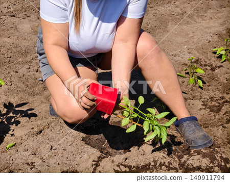 Woman's hands gently lifting a young green seedling from a red pot and planting it into rich garden soil, symbolizing growth, care, and new life in a sunny outdoor setting. Woman's hands gently lifting a young green seedling from a red pot and planting it into rich garden soil, symbolizing growth, care, and new life in a sunny outdoor setting. 140911794