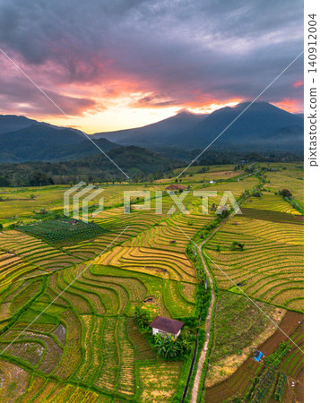 Terraced Rice Fields at Sunrise in Indonesia. Beautiful panoramic view of terraced rice fields surrounded by lush tropical greenery and palm trees Terraced Rice Fields at Sunrise in Indonesia. Beautiful panoramic view of terraced rice fields surrounded by lush tropical greenery and palm trees 140912004