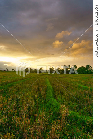 Terraced Rice Fields at Sunrise in Indonesia. Beautiful panoramic view of terraced rice fields surrounded by lush tropical greenery and palm trees Terraced Rice Fields at Sunrise in Indonesia. Beautiful panoramic view of terraced rice fields surrounded by lush tropical greenery and palm trees 140912055