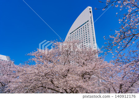 [Kanagawa Prefecture] Yokohama Minato Mirai: Cherry blossoms in full bloom and the InterContinental Hotel 140912176