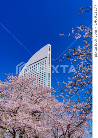 [Kanagawa Prefecture] Yokohama Minato Mirai: Cherry blossoms in full bloom and the InterContinental Hotel 140912177
