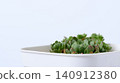 Potted succulents stand out against a white background. 140912380