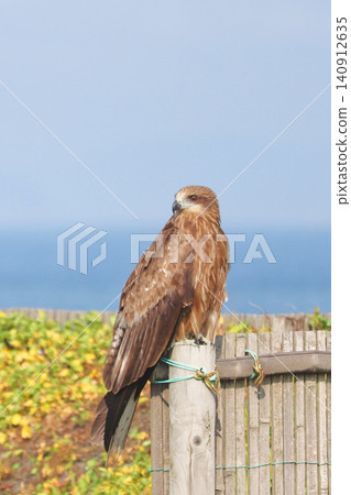 A close-up of a kite turning around on top of a sand fence. 140912635