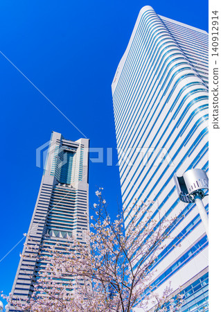 [Kanagawa Prefecture] Yokohama Minato Mirai: The scenery of Sakura Street with cherry blossoms in bloom. 140912914