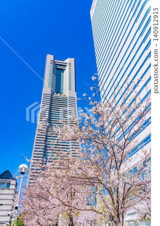 [Kanagawa Prefecture] Yokohama Minato Mirai: The scenery of Sakura Street with cherry blossoms in bloom. 140912915