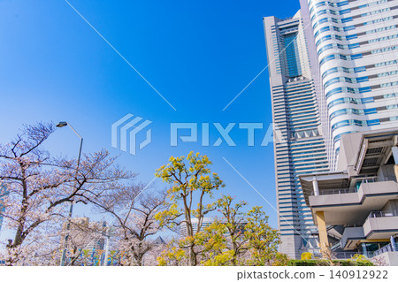 [Kanagawa Prefecture] Yokohama Minato Mirai: The scenery of Sakura Street with cherry blossoms in bloom. 140912922