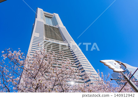 [Kanagawa Prefecture] Yokohama Minato Mirai: The scenery of Sakura Street with cherry blossoms in bloom. 140912942