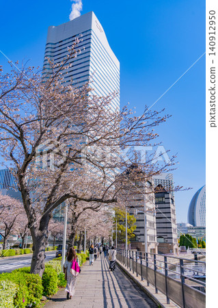 [Kanagawa Prefecture] Yokohama Minato Mirai: The scenery of Sakura Street with cherry blossoms in bloom. 140912950