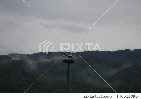 A nest and a stork in the mist-shrouded mountains. A nest and a stork in the mist-shrouded mountains. 140913090