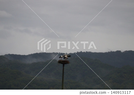 霧氣繚繞的山間,一個鳥巢和一隻鸛。 霧氣繚繞的山間,一個鳥巢和一隻鸛。 140913117