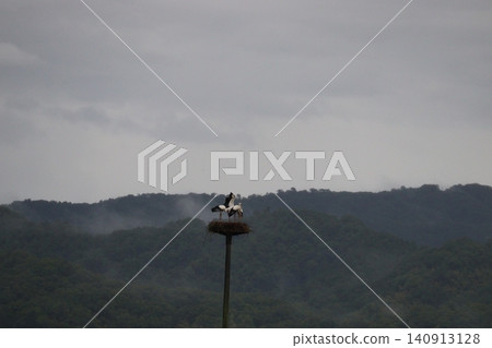 霧氣繚繞的山間,一個鳥巢和一隻鸛。 霧氣繚繞的山間,一個鳥巢和一隻鸛。 140913128
