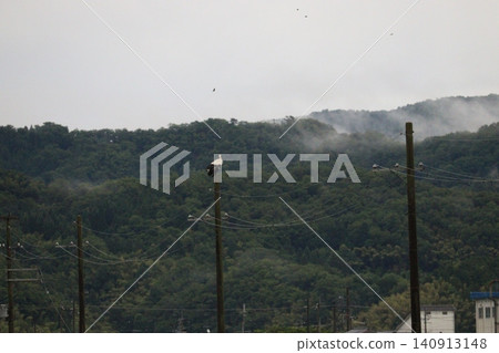 A nest and a stork in the mist-shrouded mountains. A nest and a stork in the mist-shrouded mountains. 140913148