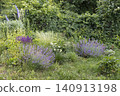 Wide shot of lush naturalistic cottage garden border with purple salvia, catmint, ornamental grass, yellow rose and delphinium growing freely among green foliage in summer daylight 140913198