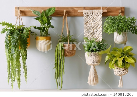 Different potted houseplants hanging on wall indoors Different potted houseplants hanging on wall indoors 140913203