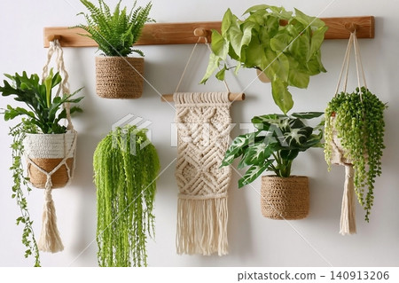 Different potted houseplants hanging on wall indoors Different potted houseplants hanging on wall indoors 140913206