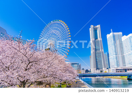 (Kanagawa Prefecture) Yokohama Minato Mirai: Cherry blossoms in full bloom and skyscrapers (Kanagawa Prefecture) Yokohama Minato Mirai: Cherry blossoms in full bloom and skyscrapers 140913219