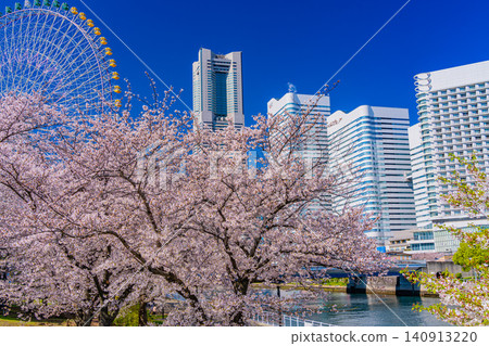 (神奈川縣)橫濱港未來:櫻花盛開,摩天大樓林立 (神奈川縣)橫濱港未來:櫻花盛開,摩天大樓林立 140913220