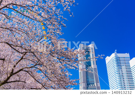 (神奈川縣)橫濱港未來:櫻花盛開,摩天大樓林立 (神奈川縣)橫濱港未來:櫻花盛開,摩天大樓林立 140913232