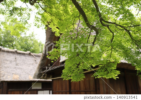A traditional thatched-roof house surrounded by greenery A traditional thatched-roof house surrounded by greenery 140913541