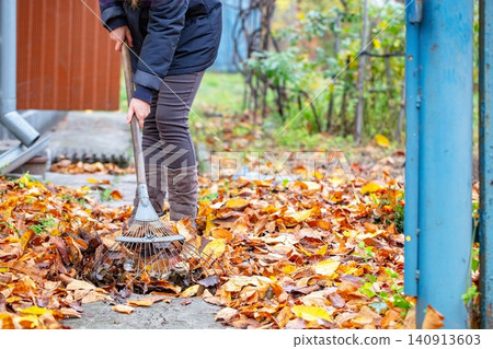 Person raking leaves in a garden during autumn season by a residential area 140913603
