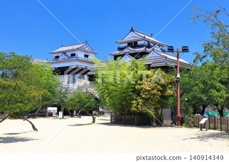 [愛媛縣]松山城（現存天守閣12座） 140914349