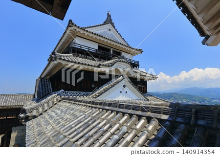 [Ehime Prefecture] Matsuyama Castle (12 existing castle keeps) 140914354