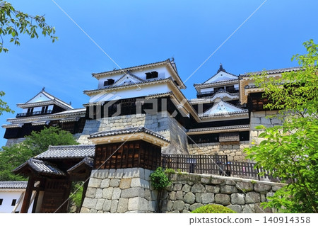 [愛媛縣]松山城（現存天守閣12座） 140914358