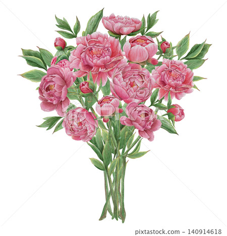 Vintage Watercolor Peony Tea Party Clipart Set A bouquet of peonies Botanical Collection Hand drawing PNG transparent background Vintage Watercolor Peony Tea Party Clipart Set A bouquet of peonies Botanical Collection Hand drawing PNG transparent background 140914618