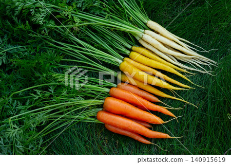 Yellow, orange and white carrots on the green garden lawn. Yellow, orange and white carrots on the green garden lawn. 140915619