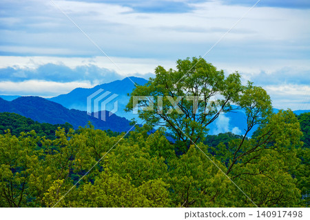 From Mt. Asuwa, one can see the mountain range to the south, towards Mt. Hachiman, with its fresh green leaves and new growth, and a sea of clouds. 140917498