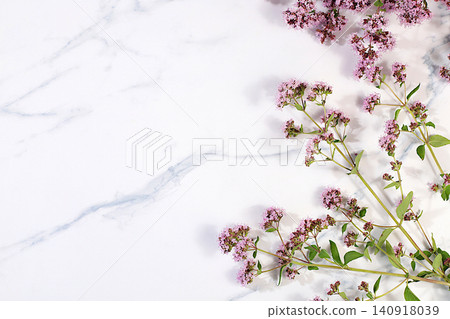 Oregano flowers on a concrete table, herbal remedies, alternative folk medicine concept, green pharmacy advertisement, collection of useful herbs for folk medicine, source of vitamins Oregano flowers on a concrete table, herbal remedies, alternative folk medicine concept, green pharmacy advertisement, collection of useful herbs for folk medicine, source of vitamins 140918039