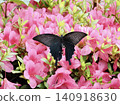 Spangle perched on a azalea flower 140918630