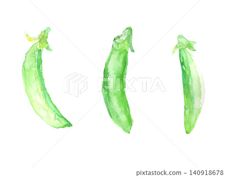 一組水彩風格的甜豌豆插圖。 一組水彩風格的甜豌豆插圖。 140918678