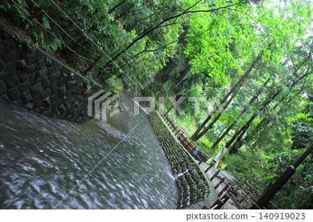 Todoroki Valley in Tokyo, where the fresh greenery is beautiful. Todoroki Valley in Tokyo, where the fresh greenery is beautiful. 140919023