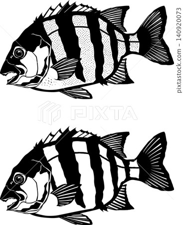 魚類插圖 - “條紋喙魚” - 黑白向量格式,可用於切割 - 白色背景(除 JPG 格式外,其他格式為透明背景) 魚類插圖 - “條紋喙魚” - 黑白向量格式,可用於切割 - 白色背景(除 JPG 格式外,其他格式為透明背景) 140920073