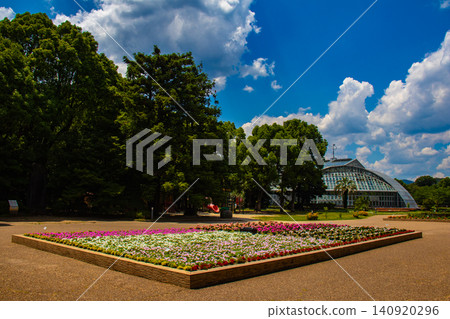 【京都風景】京都府立植物園:六月雨季間隙,嬌嫩的花朵競相綻放。 【京都風景】京都府立植物園:六月雨季間隙,嬌嫩的花朵競相綻放。 140920296