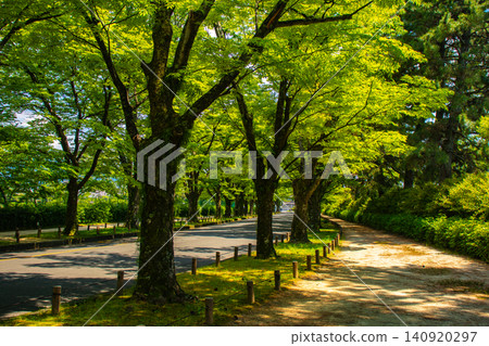 【京都風景】京都府立植物園:六月雨季間隙,嬌嫩的花朵競相綻放。 【京都風景】京都府立植物園:六月雨季間隙,嬌嫩的花朵競相綻放。 140920297